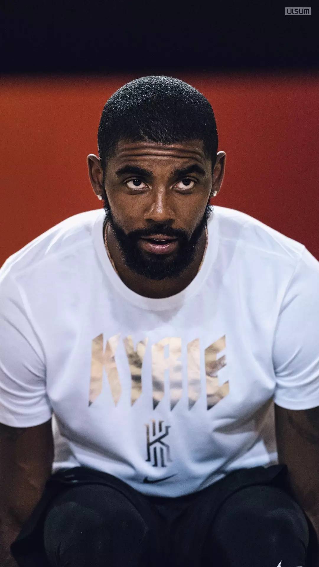 从细节到体 从细节到体